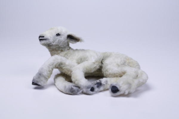 Five Legged Lamb, mixed media, 2024